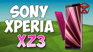 Вся правда о Sony Xperia XZ3 / Арстайл /