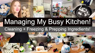 KITCHEN CLEANING AND ORGANIZING / freezing food // cleaning videos // ingredient prep