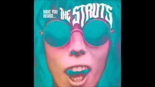 The Struts- Could Have Been Me (Lyrics in Description)