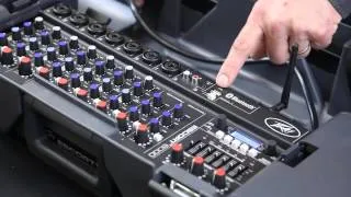 AudioSavings.com - Peavey Escort 5000 / 6000 Series - Overview