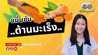 ขมิ้นชัน ต้านมะเร็ง ทางเลือกเสริมการรักษา l สมุนไพรน่ารู้ (2023)