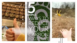 5 simple ways to reduce your carbon footprint