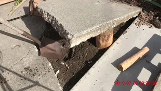 斩草除根Repairing cement floor destroyed by tree roots