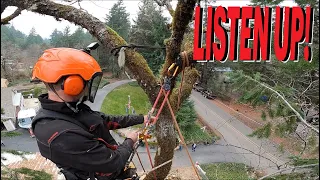 How do you get your ROPE IN THE TREE?