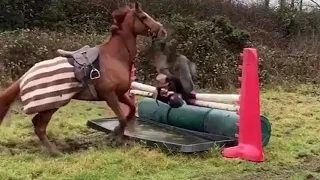 Horse fails, outtakes, bloopers!