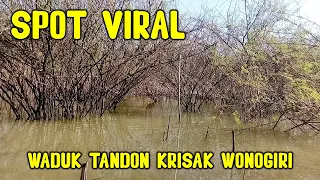 SADIS ❗❗ IKAN DISINI GALAK - GALAK || Mancing ikan jaminan strike || Waduk Tandon Krisak Wonogiri