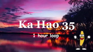 Ka Hao - 35 ( feat. Rob Ruha ) ( 1 hour version )