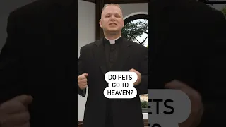 Do pets go to heaven? #livingdivinemercy #ewtn #animals #pets #christian #catholic