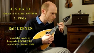 BACH - Sonata in g minor (BWV1001) - FUGA - Ralf LEENEN