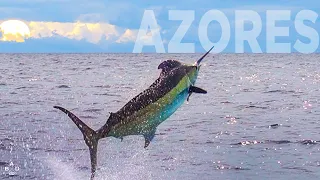 Marlin Fishing in Azores, The Land of Giants - PART TWO
