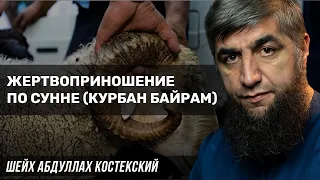 Жертвоприношение по сунне (Курбан Байрам)