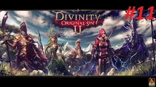 Прохождение. Divinity: Original Sin 2.Оружейная Бракка,убийство Александара,покидаем форт радость#11