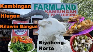 Kambingan Itlogan at lugawan sa Norte Tikim#49