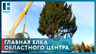 На площади Ленина в Тамбове установили главную ёлку региона