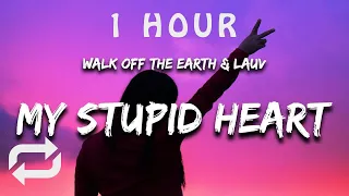 [1 HOUR 🕐 ] Walk Off The Earth & Lauv - My Stupid Heart (Lyrics)