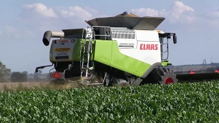 Claas Lexion 600 + V1050 Harvest 2017