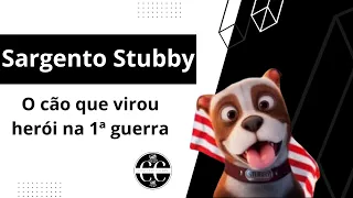 Sargento Stubby - cão de guerra condecorado na Primeira Guerra mundial