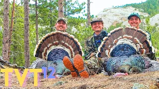 A TRUE SOUTH DAKOTA DOUBLE - NO DECOY - Public Land Turkey Hunting