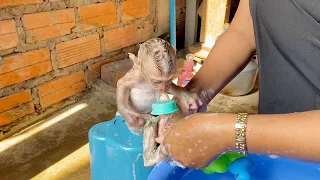 Adorable BB DAM Sit On Chair Let Mom Clean Him Shampoo