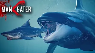 JAWS Vs KILLER WHALE - Maneater Gameplay Part 4, Shark 🦈, Deep Sea