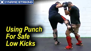 Using Punch For Safe Low Kicks by Pedro Rizzo