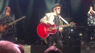 Paul Carrack - Over My Shoulder - Live 2019