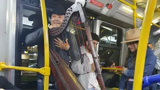 Concierto tras concierto #vlog #music #musica #musicaentransmilenio #streetart #concierto  #couple