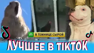 😂 Подборка из тик-ток 😂 Лучшие приколы 2022 😂 | tiktok #3