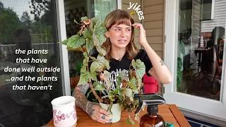 houseplants i'm growing outside + rehabbing the ones that are unwell (patio tour + plant clean up)🧹