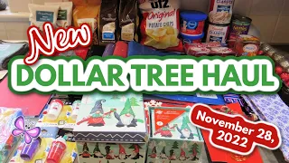 New DOLLAR TREE HAUL!  York, PA!  November 28, 2022 #LeighsHome