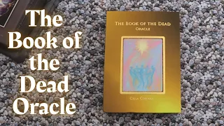 I HAVE NOTHING ELSE LIKE THIS - The Book of the Dead Oracle by Cilla Conway