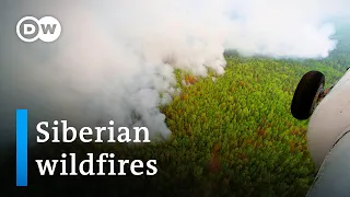 Massive wildfires in Siberia fueled by record heat | DW News