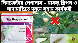 Pegasus Syngenta !! Mite, Thrips, whitefly / মাকড়, থ্রিপস, সাদা মাছি দমনের জন্য/ পেগাসাসের ব্যাবহার