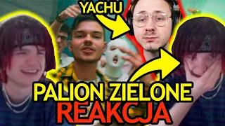 YOUNG MULTI REAKCJA na PALION - ZIELONE + REAKCJA na OCENE YACHUPRODUKCJA