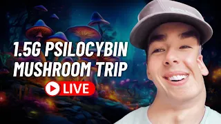 Live Psilocybin Mushroom Experience