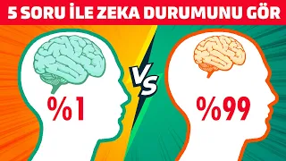 5 Kolay Soru ile Zekanız Ne kadar Çalışıyor Öğrenin