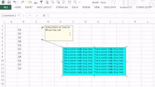 CFO Learning Pro- Excel Edition "Change The Appearance of Comments"