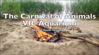 The Carnival of Animals VII Aquarium |  Camille Saint-Saëns 2 Hour Loop Le carnaval des animaux