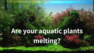 Are your Aquatic Plants Melting ?? Simple Solutions. Hindi Video - 2019