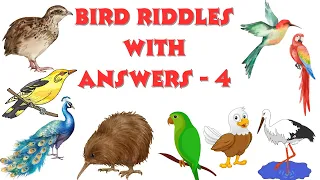 BIRD RIDDLES WITH ANSWERS - 4 #birdriddles #riddlezone