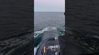 Dolphins swim next to the U.S. submarine USS Oregon #shorts #usnavy #navy