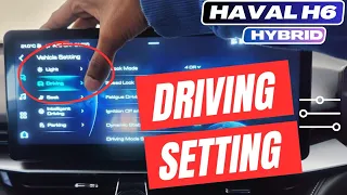 Vehicle Driving Settings in Haval!