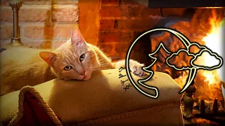 Мурлыканье кошки, Релакс, Исцеляющее Мурлыканье, у камина, для сна, Relax for sleep A purring cat #4