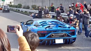 【大黒PA】スーパーカー加速サウンド/Supercars sound in Japan. AventadorSVJ, 675LT, 488Pista, and more!!