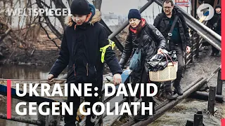 Ukraine: David gegen Goliath | Weltspiegel Podcast