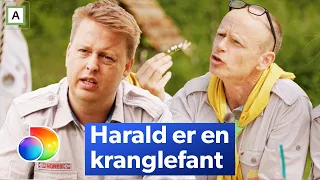 Henrik Fladseth mener at Harald Eia er Norges største besserwisser | Alltid beredt
