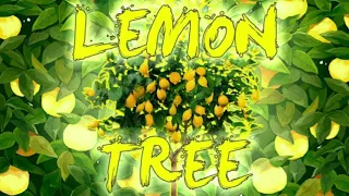 DJ Mars | Lemon Tree (Radio Edit)