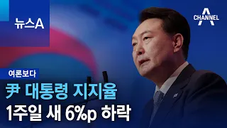[여론보다]尹 대통령 지지율 1주일 새 6%p 하락 | 뉴스A