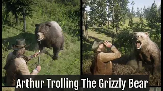 Badass Arthur Morgan Trolling The Grizzly Bear RDR2