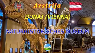 Dunaj (Vienna) - Naturhistorisches Museum - Prirodoslovni muzej (Natural History Museum)